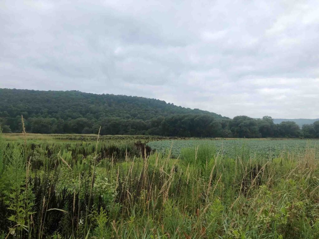 Dual rotary drilling tests for a new potable water well in Franklinville, New York