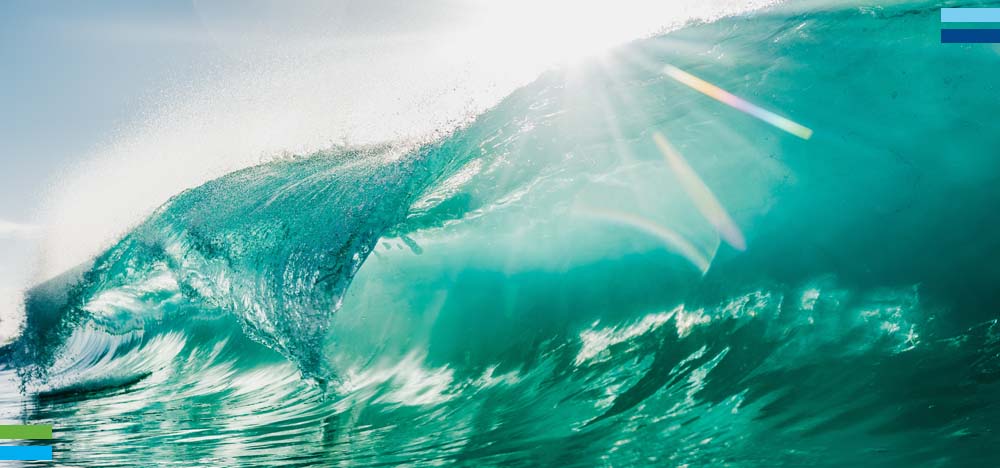 Ride the Wave - March 2023