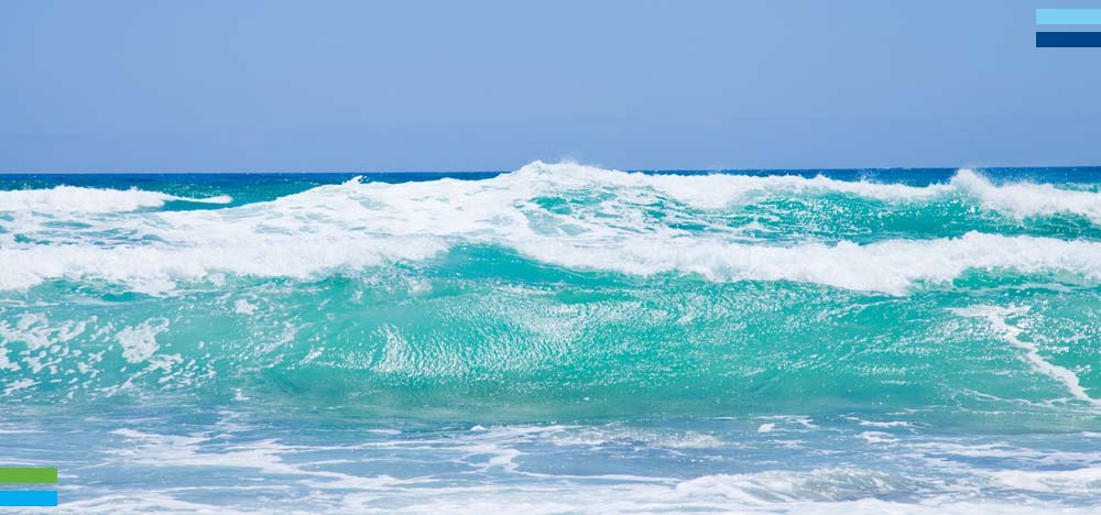 Ride the Wave Award - May 2023 - Featured Image