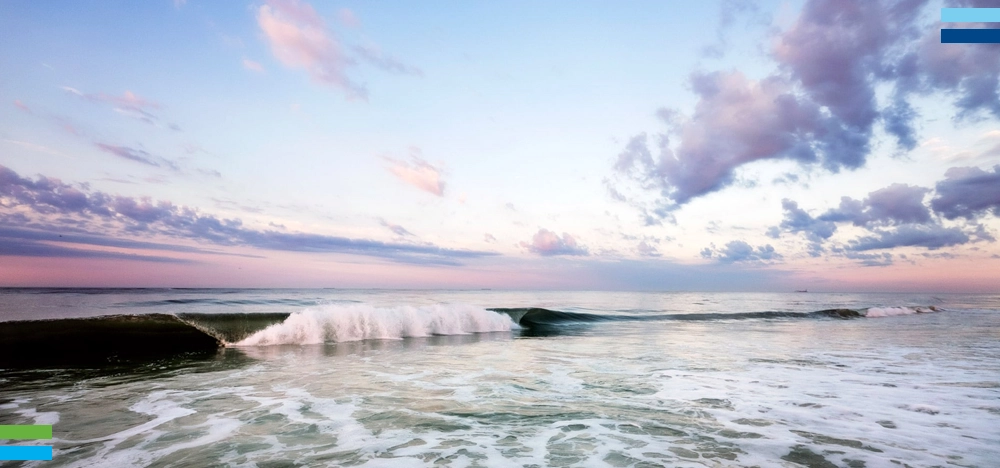 Ride the Wave - June 2024