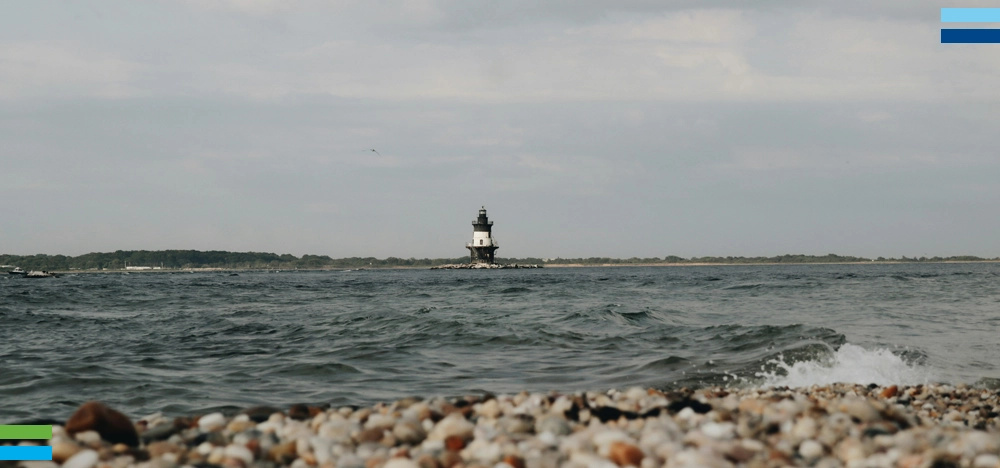 Ride the Wave - July 2024