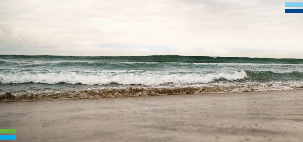 Ride the Wave Award - November 2024
