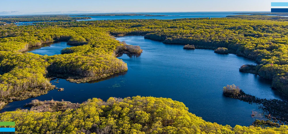 Michael Gaul Is Making Waves in Wetland Science