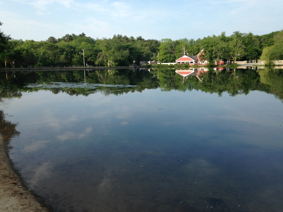 upper lake yaphank post dredging assessment 1